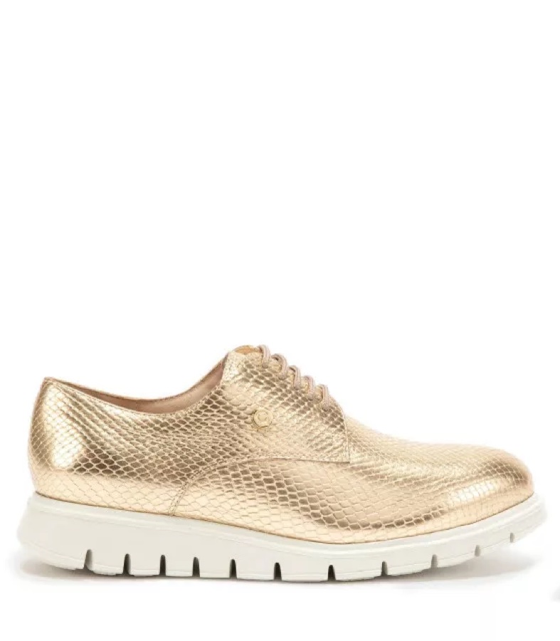 Zapato Trendy Mujer