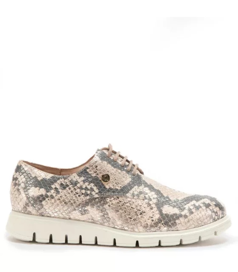 Zapato Trendy Mujer