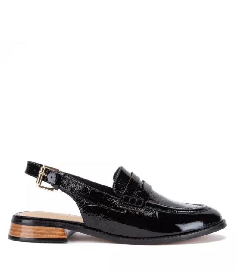 Zapato Elegante Mujer