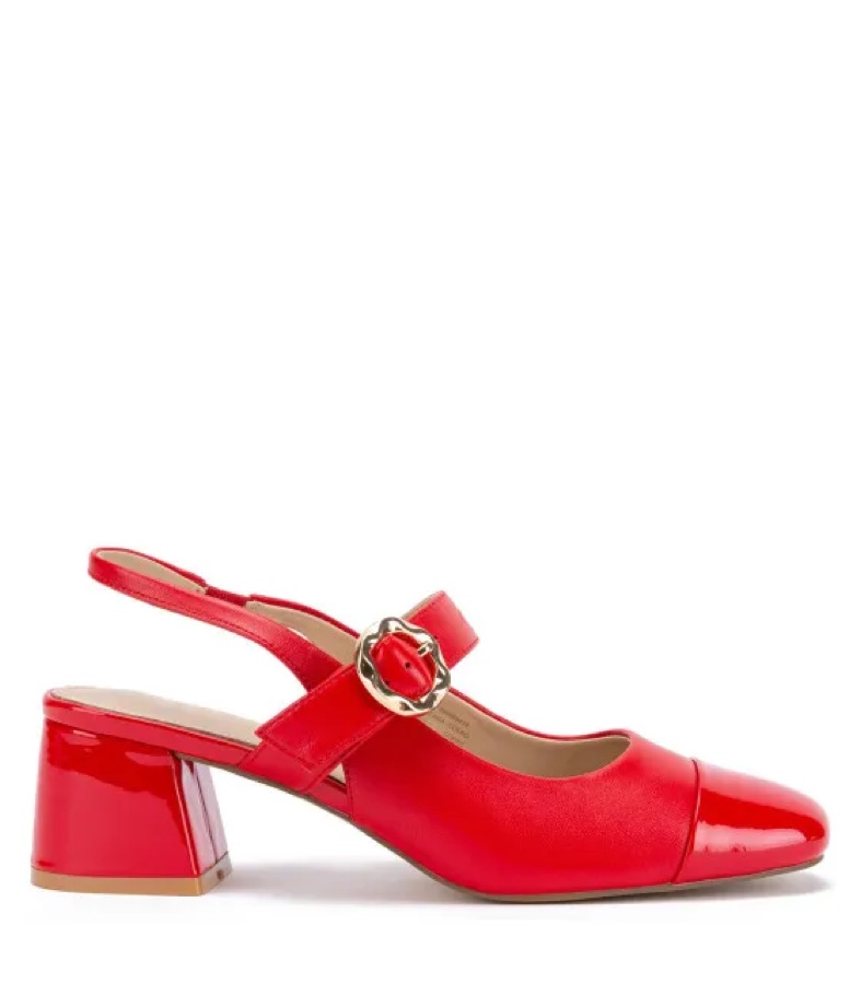 Zapato Moderno Mujer