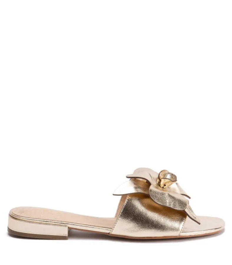 Sandalia Premium Mujer