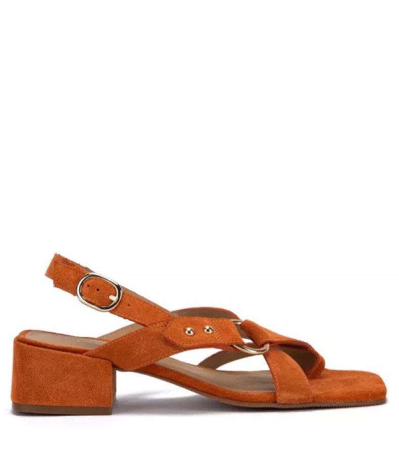 Sandalia Chic Mujer