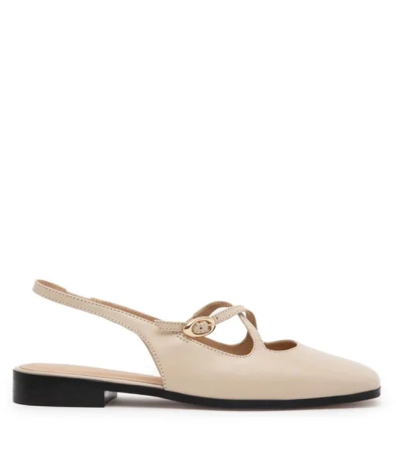 Zapato Premium Mujer