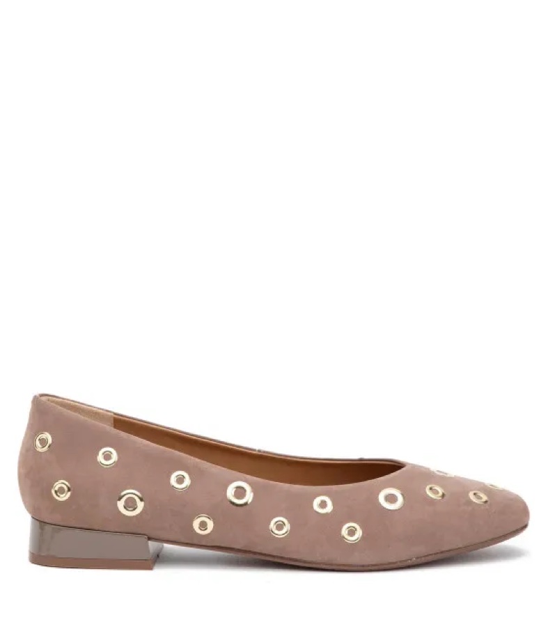 Zapato Elegante Mujer
