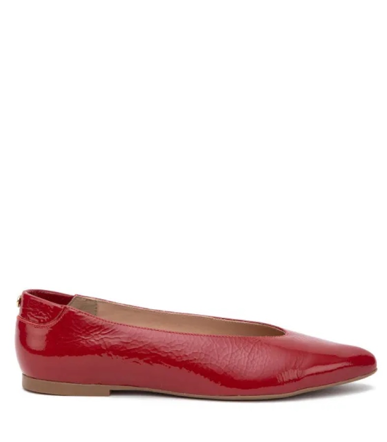 Ballerina Elegante Mujer
